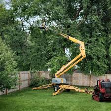 Best Commercial Tree Services  in Port Angeles East, WA