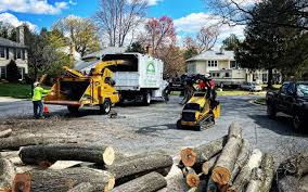 Mulching Services in Port Angeles East, WA