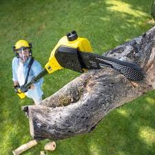 Best Landscape Design and Installation  in Port Angeles East, WA